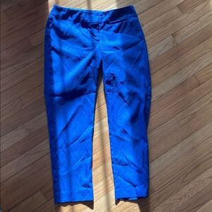 Vibrant Blue Embossed Jacquard Pants